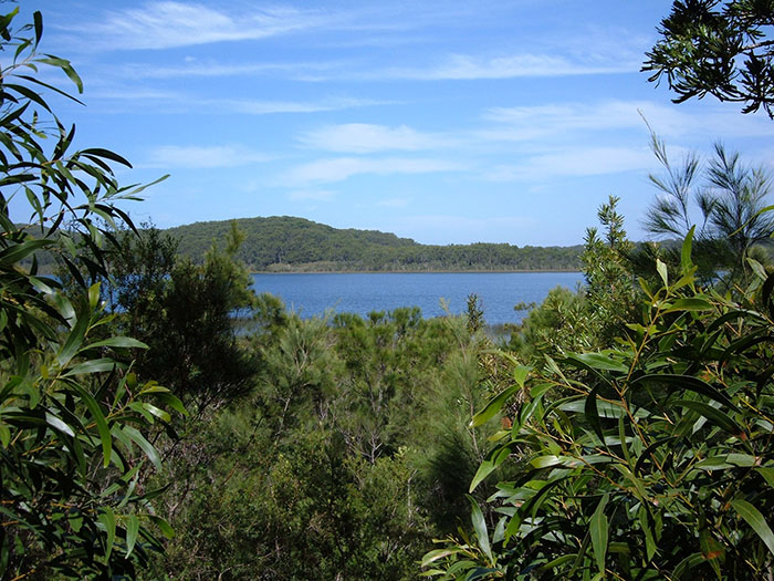 lake trees australia