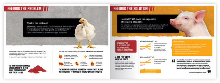 Hemicell don't feed the problem campaign print product brochure